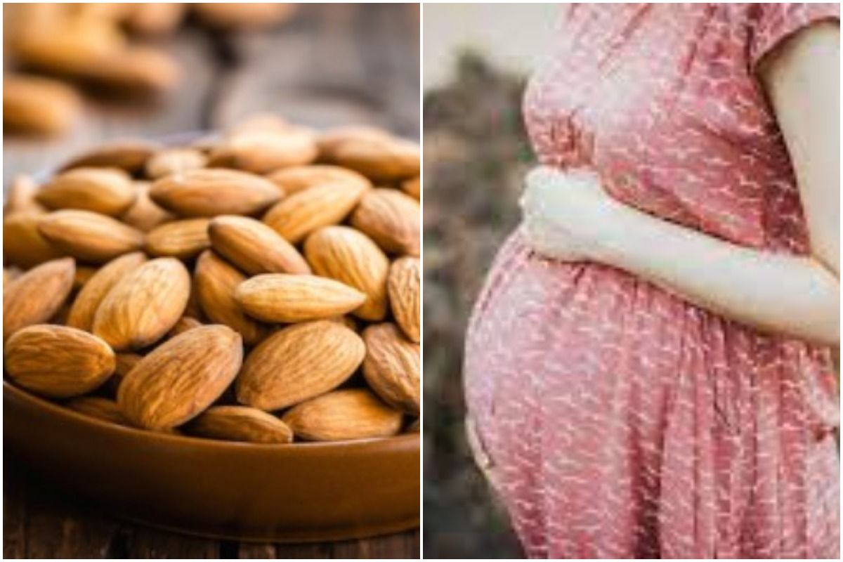 Almonds During Pregnancy प्रेगनेंसी में बादाम खाना चाहिए या नहीं? यहां जानें इससे जुड़ी सभी