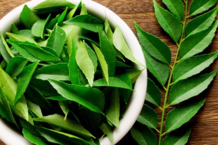 Curry leaves Benefits in hindi Weight Loss Vitamin A B C curry patta benefits for hair
