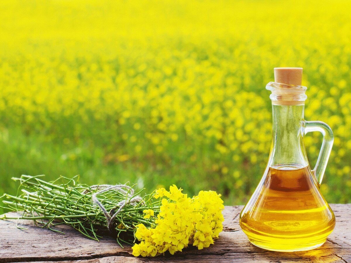 Health Benefits of Mustard Oil sarso tail ke fayede good for breast