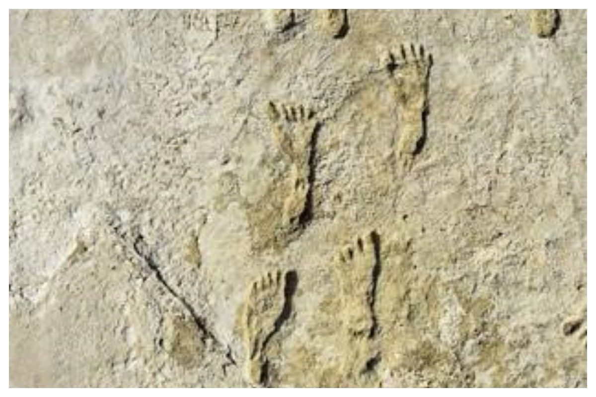 Oldest Human Footprints in North America Found in New Mexico