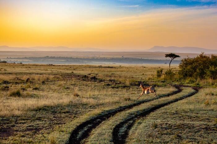 Great News! Kenya Reopens Borders For Travellers From India