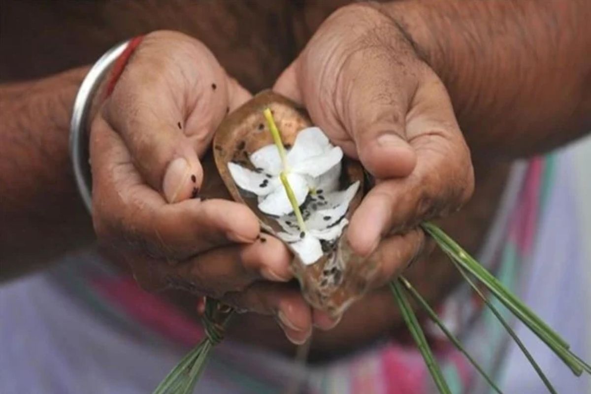 Pithori Amavasya 2021: काय आहे पिठोरी अमावस्येचे महत्त्व; पितृ दोषापासून  मुक्त होण्यासाठी केले जातात हे उपाय