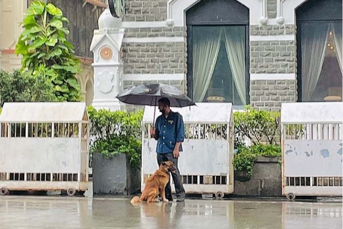 Gestures Like These...: Taj Hotel Employee Shares Umbrella With Stray Dog, Ratan Tata Has THIS to Say