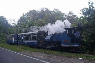 Travel Boom: As Tourists Return With Vengeance, Industry Insiders Say Adaptability Is Key