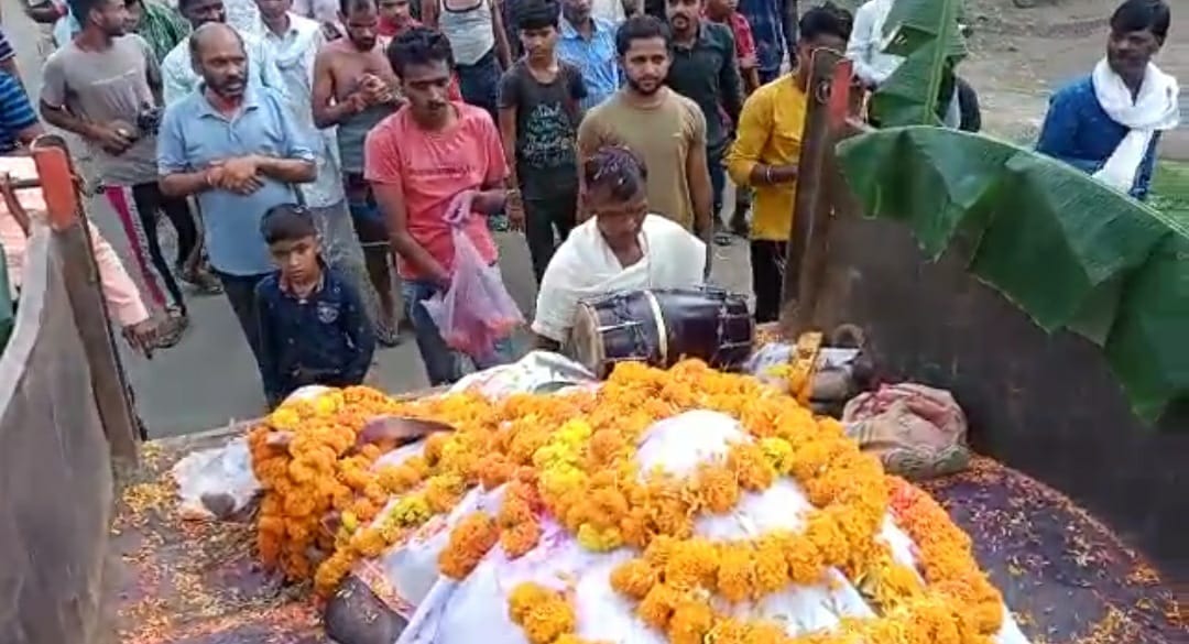 MP Villagers Hold Funeral Procession For Bull Revered as Nandi Baba ...