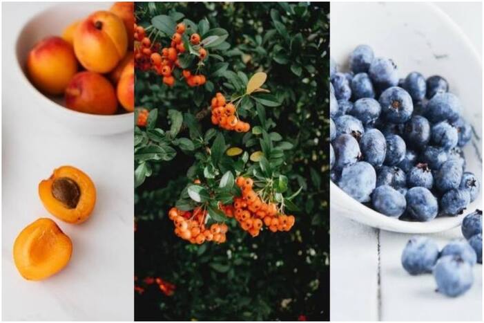 Include Herbs, Nuts And Fruits to Enhance Your Daily Diet
