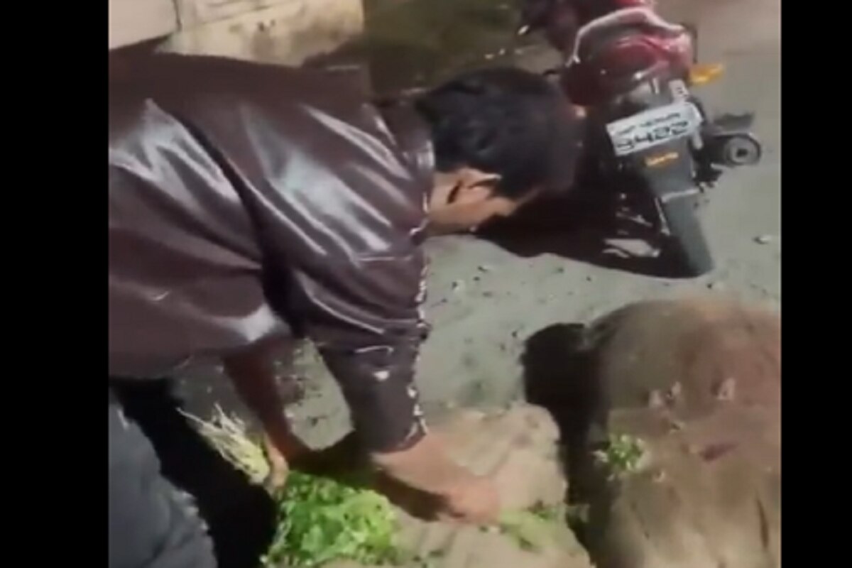 Vegetable Vendor Washes Coriander Leaves With Drain Water on Camera, Faces Action Watch Video