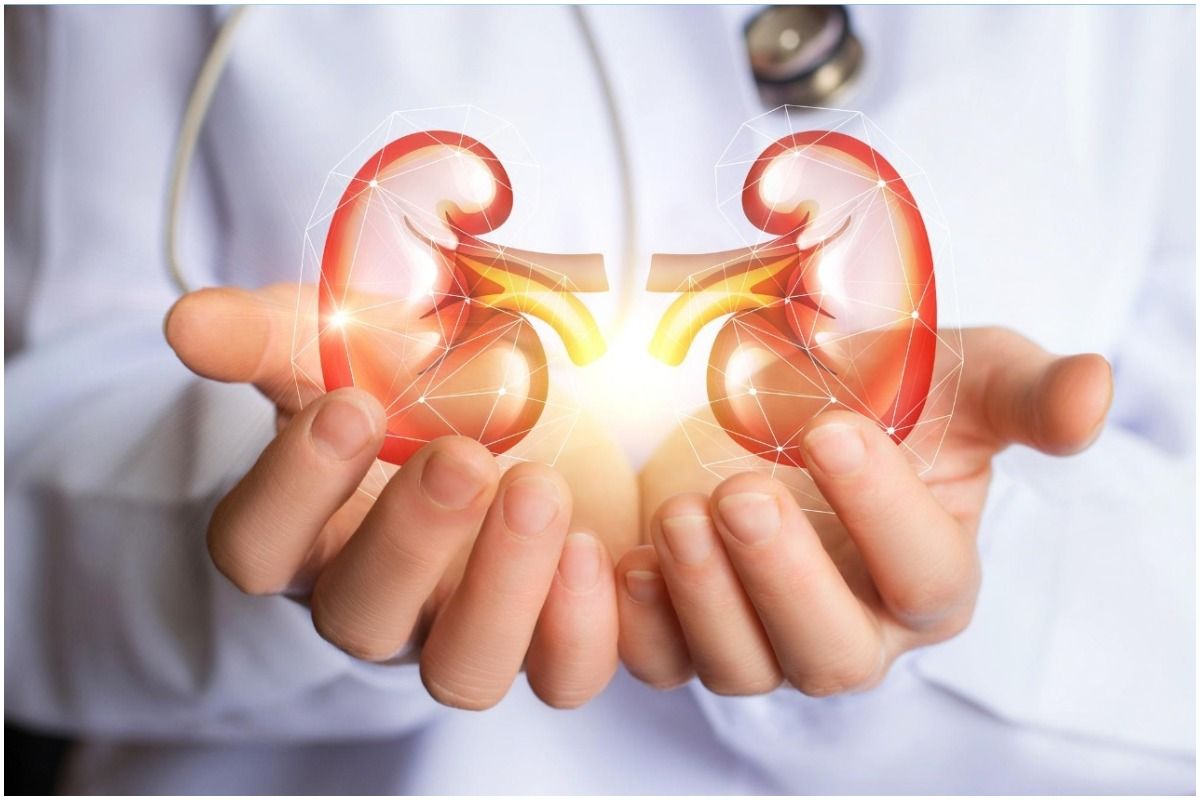 Suffering From Kidney Diseases? 5 Super-Foods That You Must Include In Your Diet