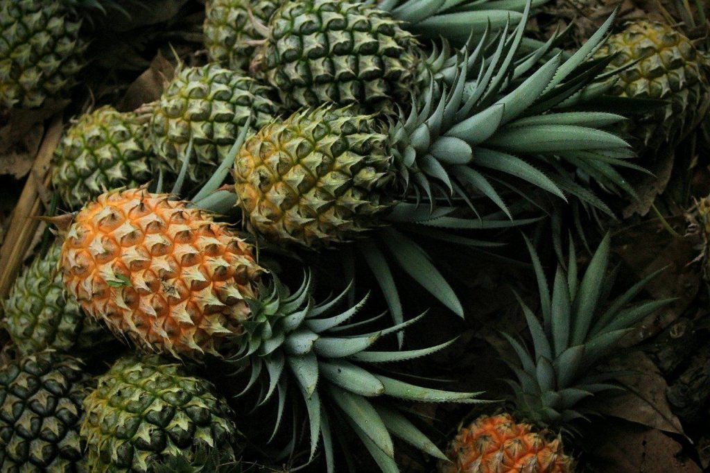 8 Water-Rich Fruits to Keep You Hydrated in Summers