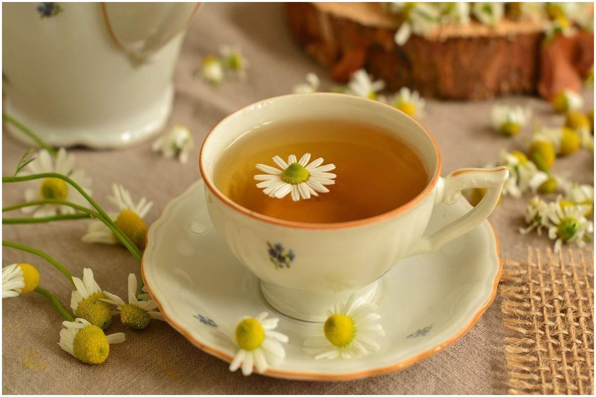 Should You Take Green Tea At Night Or Right Before Hitting Bed Here s 