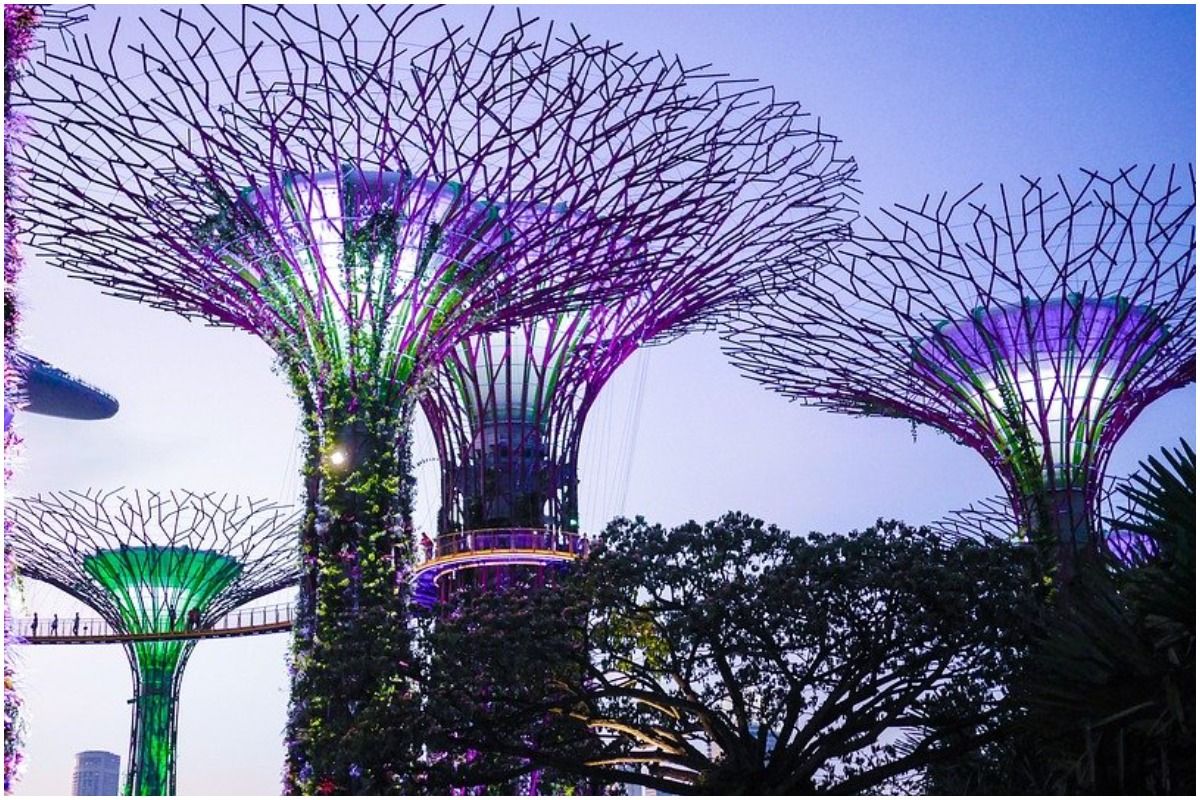 Gardens by the Bay. Picture Credits: Pixabay
