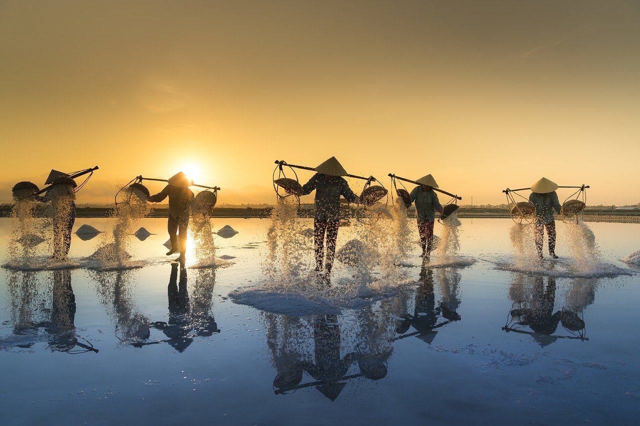 Attention! Vietnam Might Welcome Travellers From India From December. Check Details