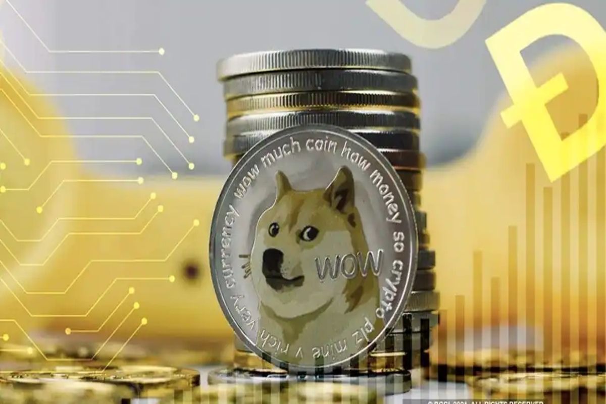 shiba coin watch