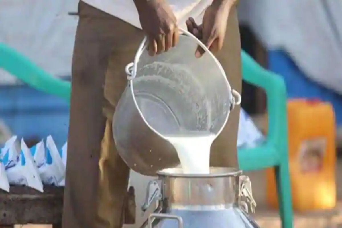 Milk Prices In India To Remain Inflated Report Russia Ukraine War 
