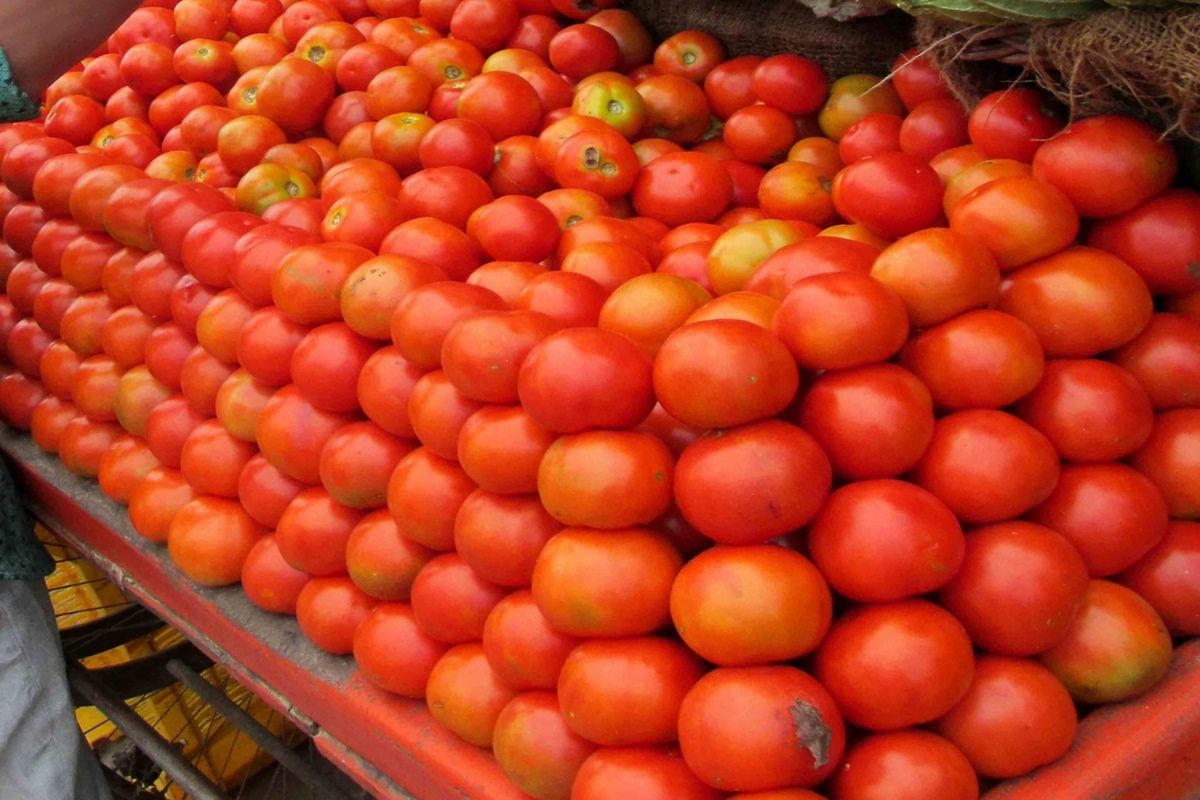 Tomato Price Today Onion Potato Vegetable Prices in India Latest Rates 2021