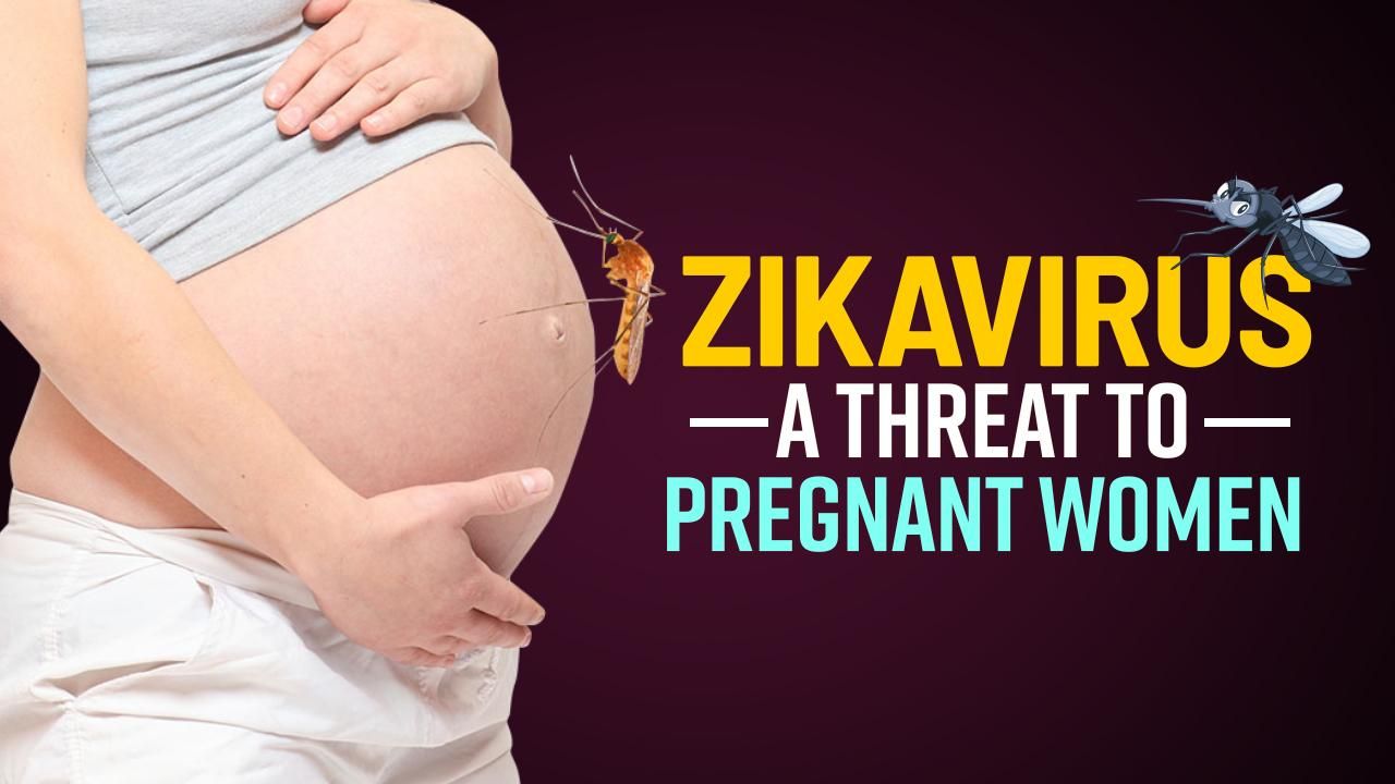 Zika Virus A Threat To Pregnant Women Symptoms Preventive Measures