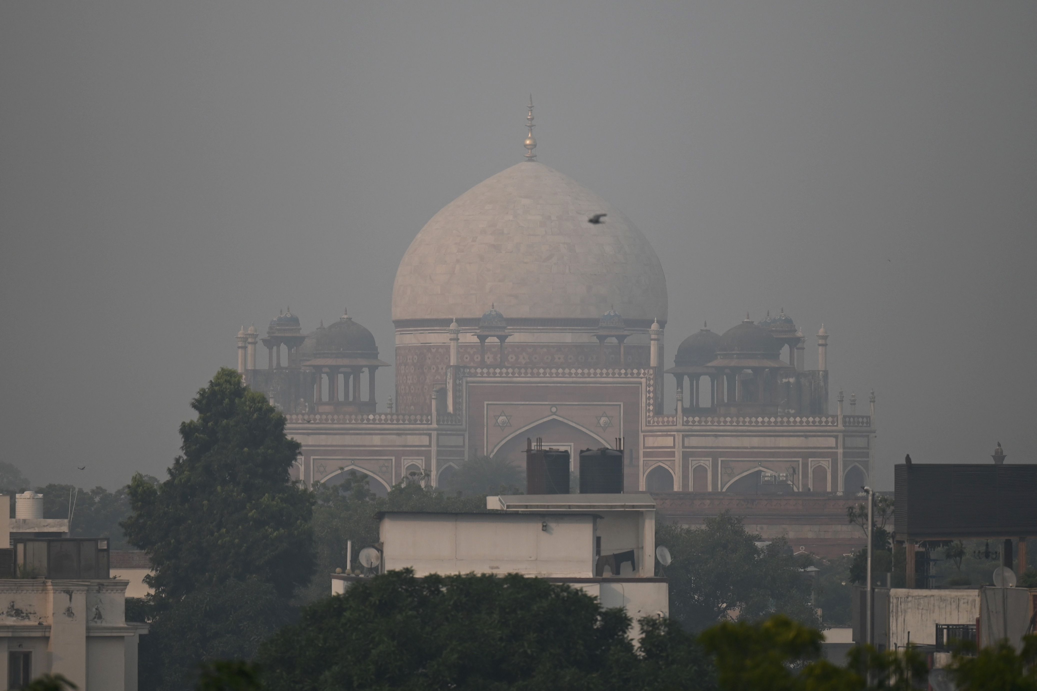 Avoid Going Outdoors, Reduce Vehicle Usage: CPCB Issues Advisory as Delhi-NCR Records Season's Worst AQI