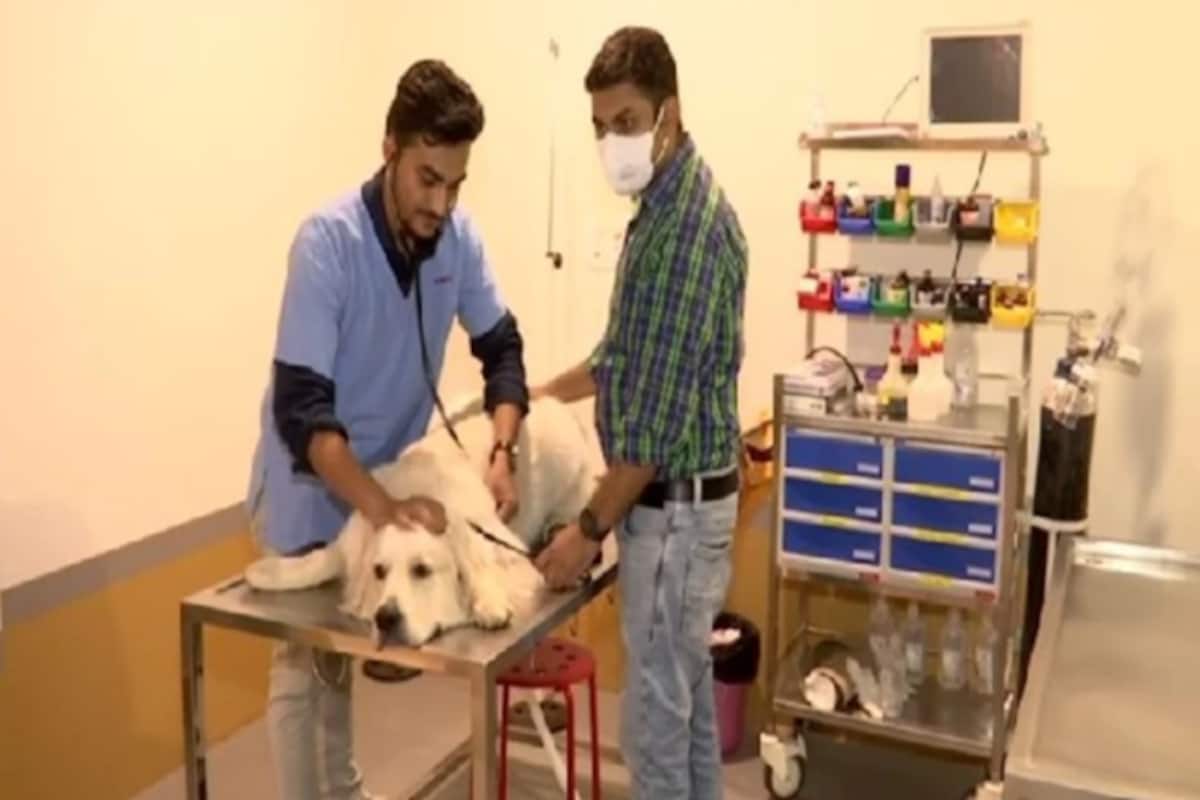 After Losing His Dog, Gujarat Man Opens Indias First Veterinary Ventilator  Hospital in Ahmedabad