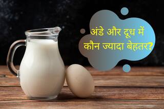 Milk Vs Eggs: अंडे या दूध, जानिए प्रोटीन की कमी दूर करने के लिए कौन सा फूड बेहतर