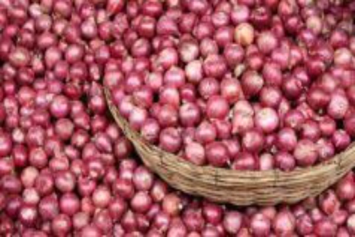 Onion Price: आम आदमी को अब कम रुलाएगा प्‍याज! कीमतों में आएगी गिरावट; सरकार उठाने जा रही है यह बड़ा कदम