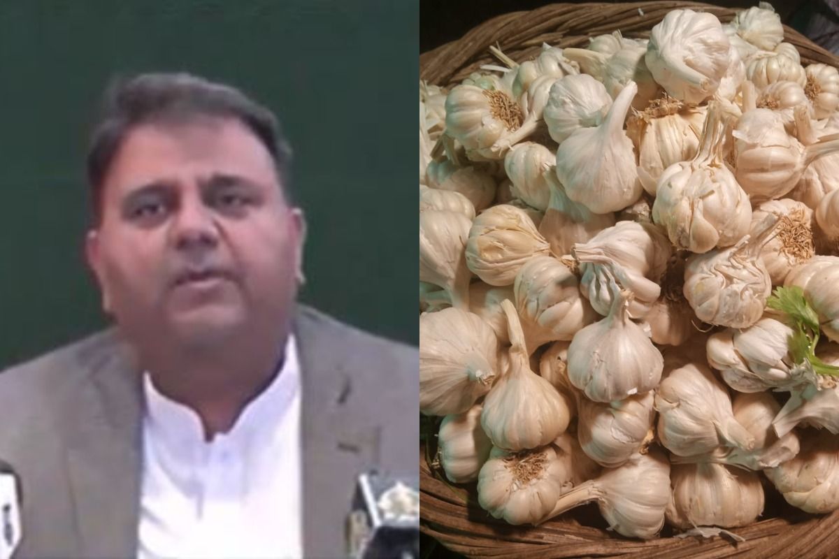 Garlic ka Matlab Adrak: Pakistan