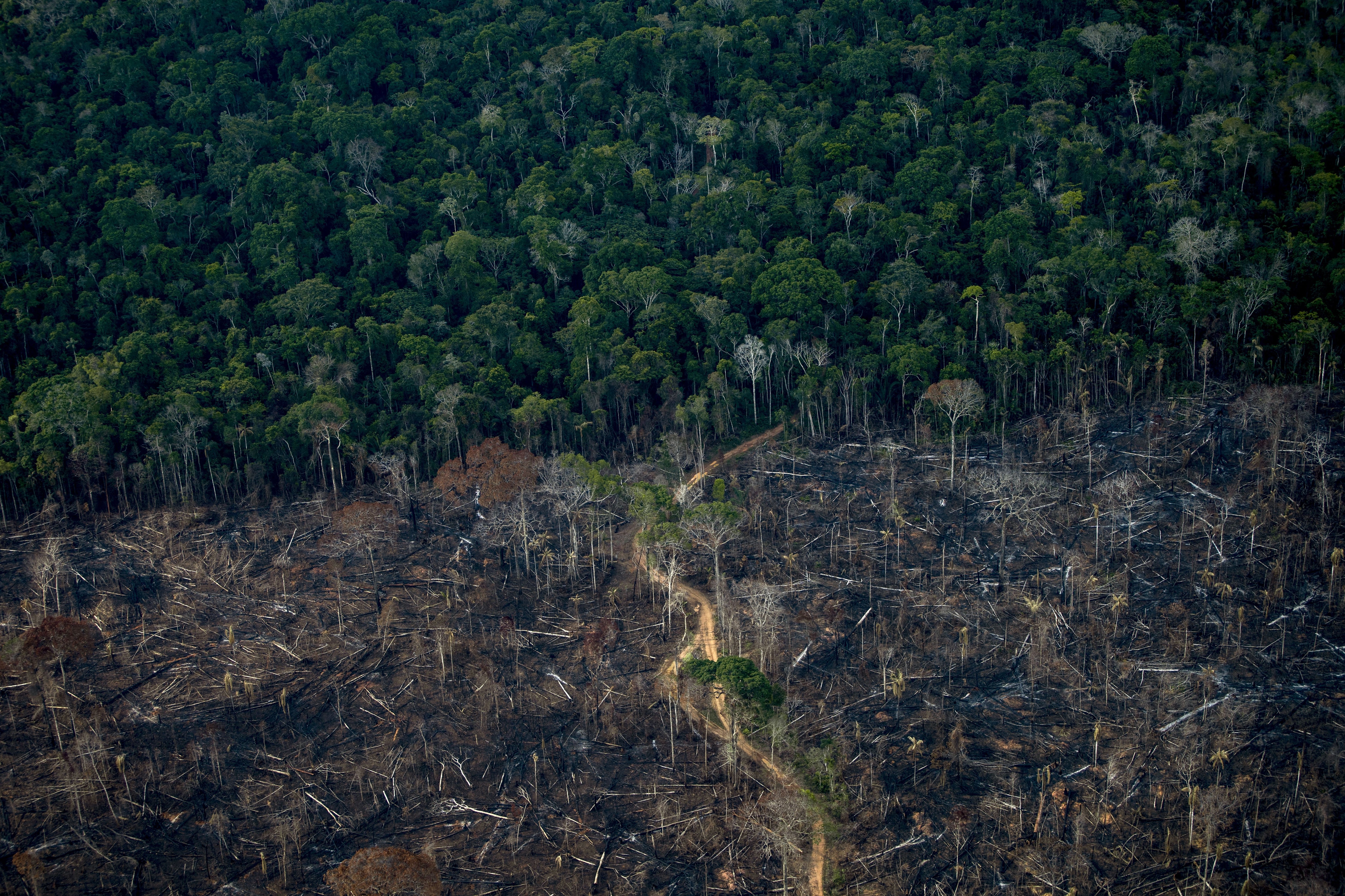 BRAZIL UN COP26 CLIMATE AMAZON