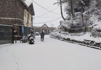 Stunning Fresh Snowfall PICS of Kufri, Narkanda in Himachal Will Make You Want to Travel