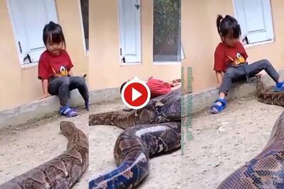 Two-year-old boy plays with giant snake in viral video