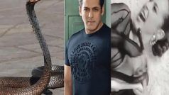 Salman Khan पाठोपाठ गायिकेलाही चावला साप, छातीवर चढला आणि केला दंश… पाहा VIDEO