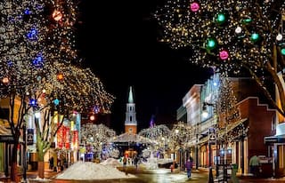 Kiwi Christmas: Learn How New Zealanders Celebrate Christmas in a Special Way