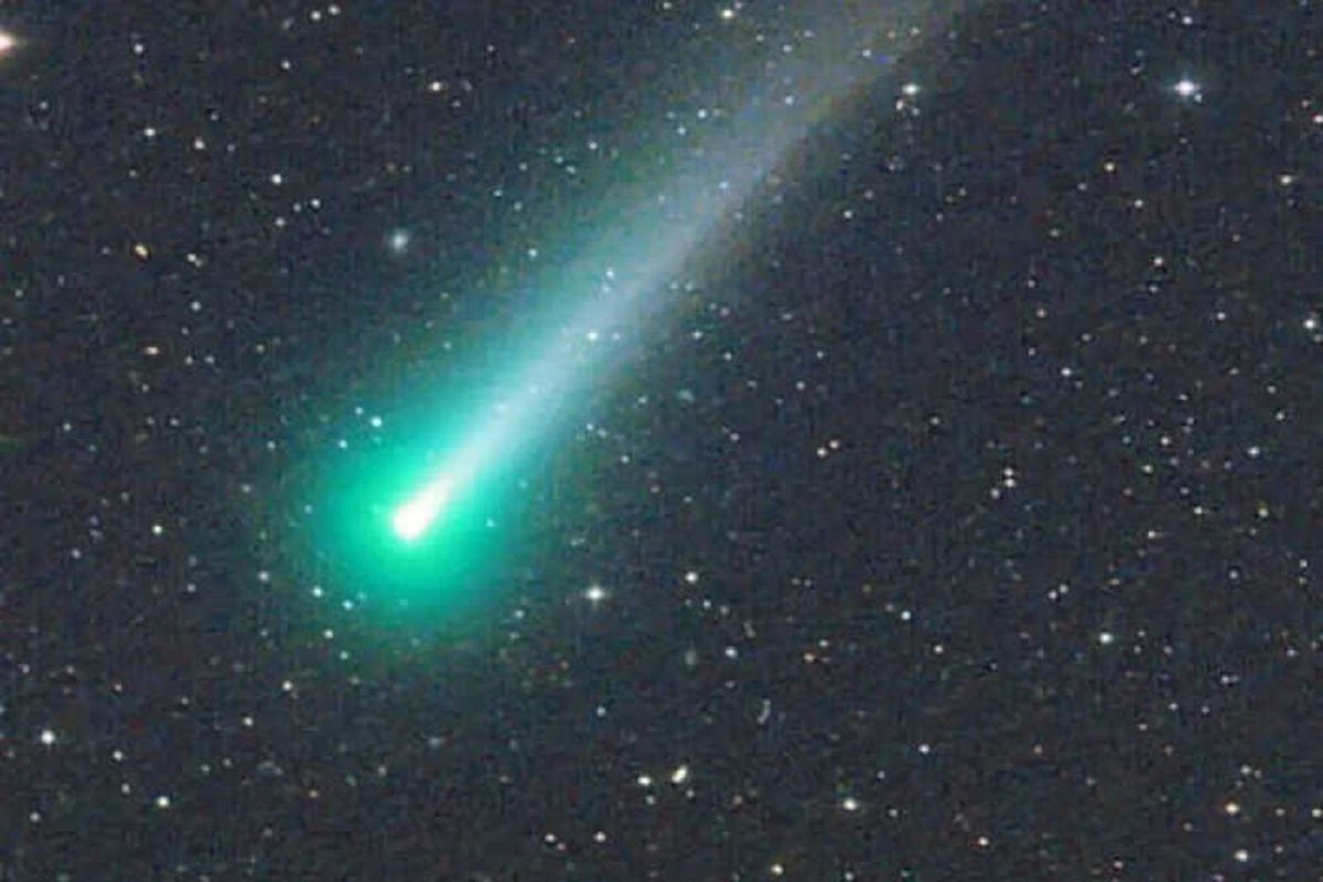 comet leonard visibility