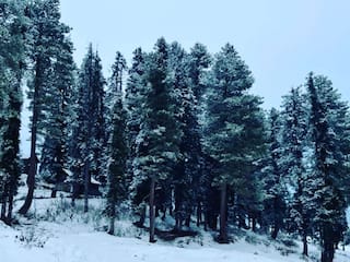 Year Ender 2021: Top 7 Tourist Destinations in India to Celebrate New Year's Eve 2022