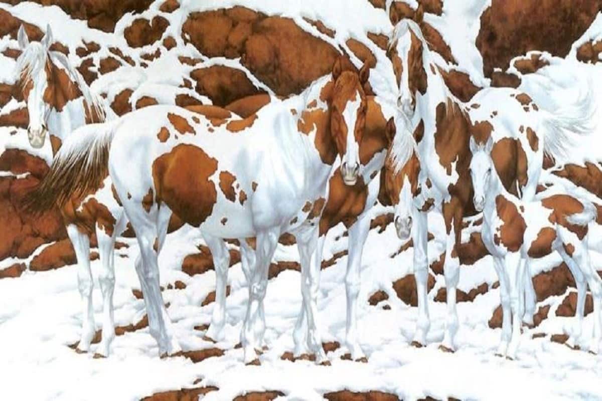 How Many People Do You See