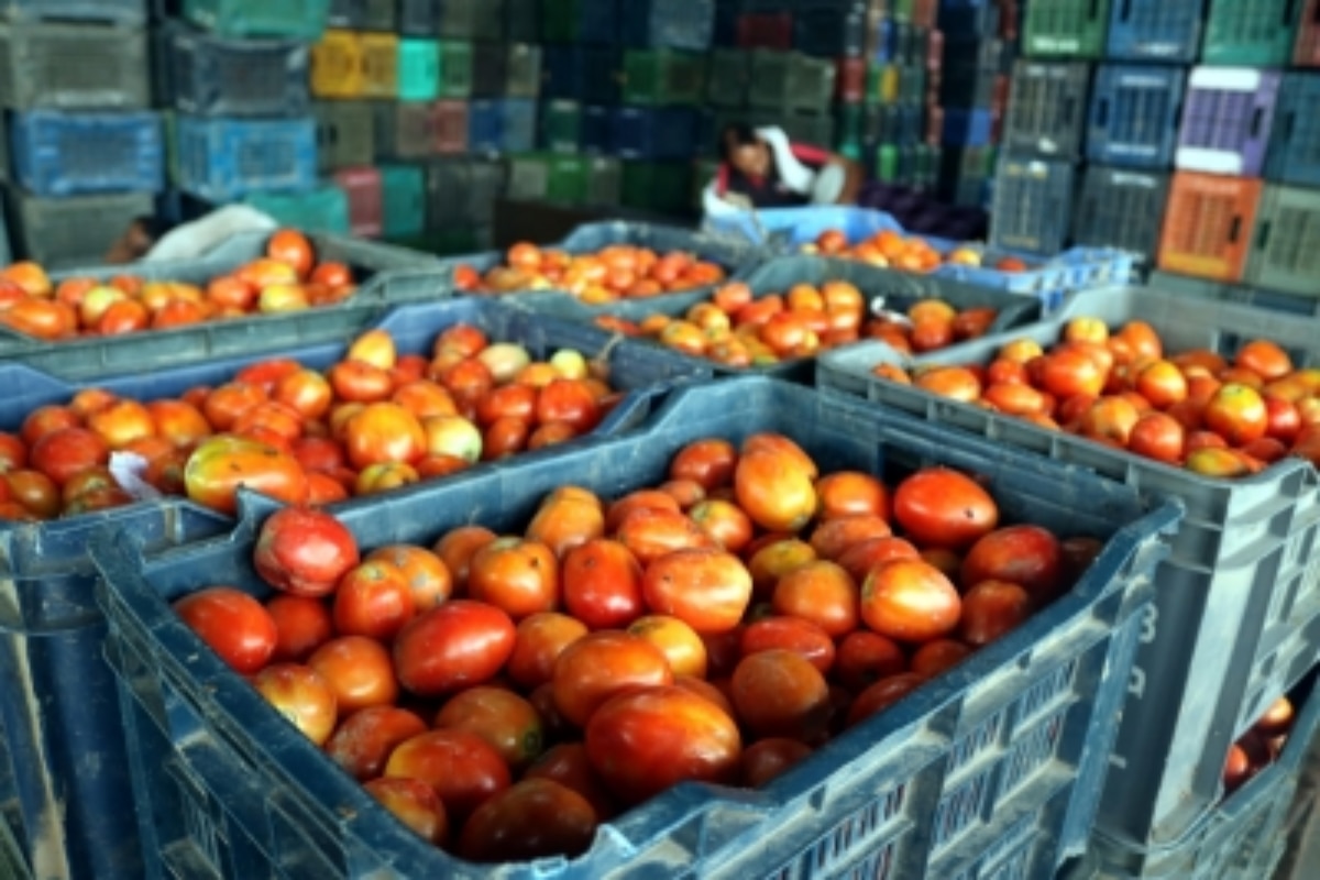 Tomato Prices Skyrocket, Reach Rs 100 In Chennai