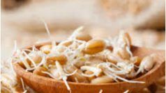 Sprouted Wheat Benefits: डाइट में जरूर शामिल करें अंकुरित गेहूं, मिलते हैं ये अचूक फायदे