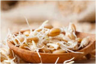 Sprouted Wheat Benefits: डाइट में जरूर शामिल करें अंकुरित गेहूं, मिलते हैं ये अचूक फायदे