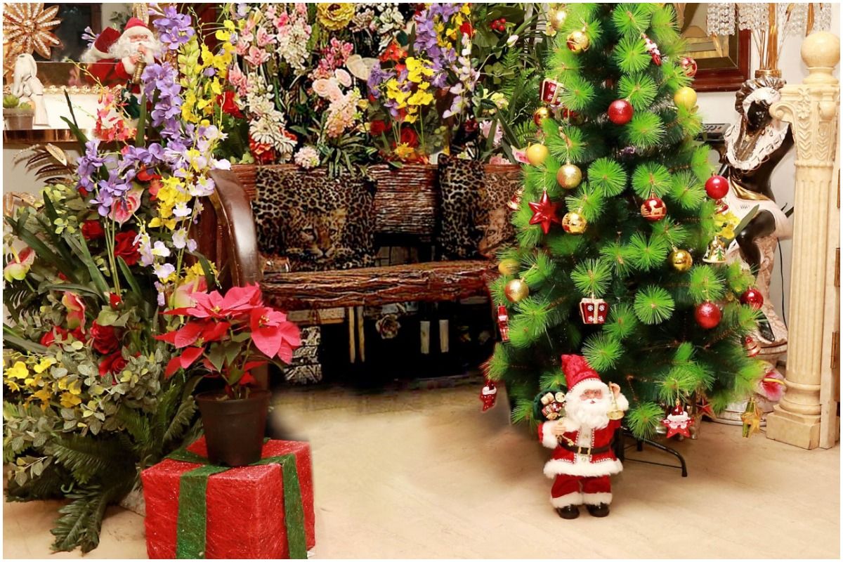 Wondering How to Make Your House Christmas Ready? Shahnaz Husain Shares Tips