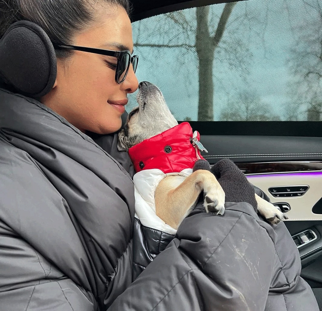 Priyanka Chopra enjoy with her dogs in hyde park shoots for Citadel see new pic