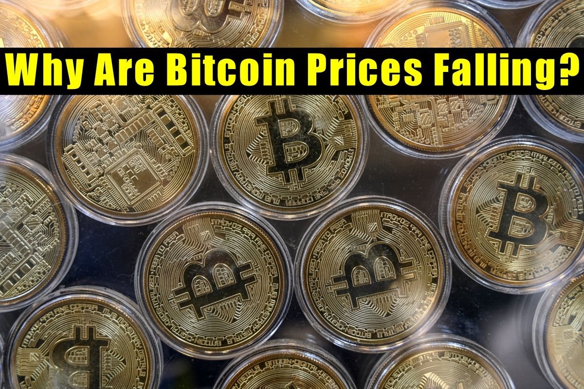 bitcoin fall in price
