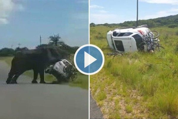 Angry Elephant Flips Over Car With 4 People Inside It at Wildlife Nature Park