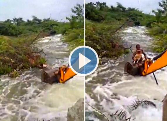 Viral Video: Telangana Home Guard Risks Life, Saves Dog Stuck In Flooded Stream With JCB