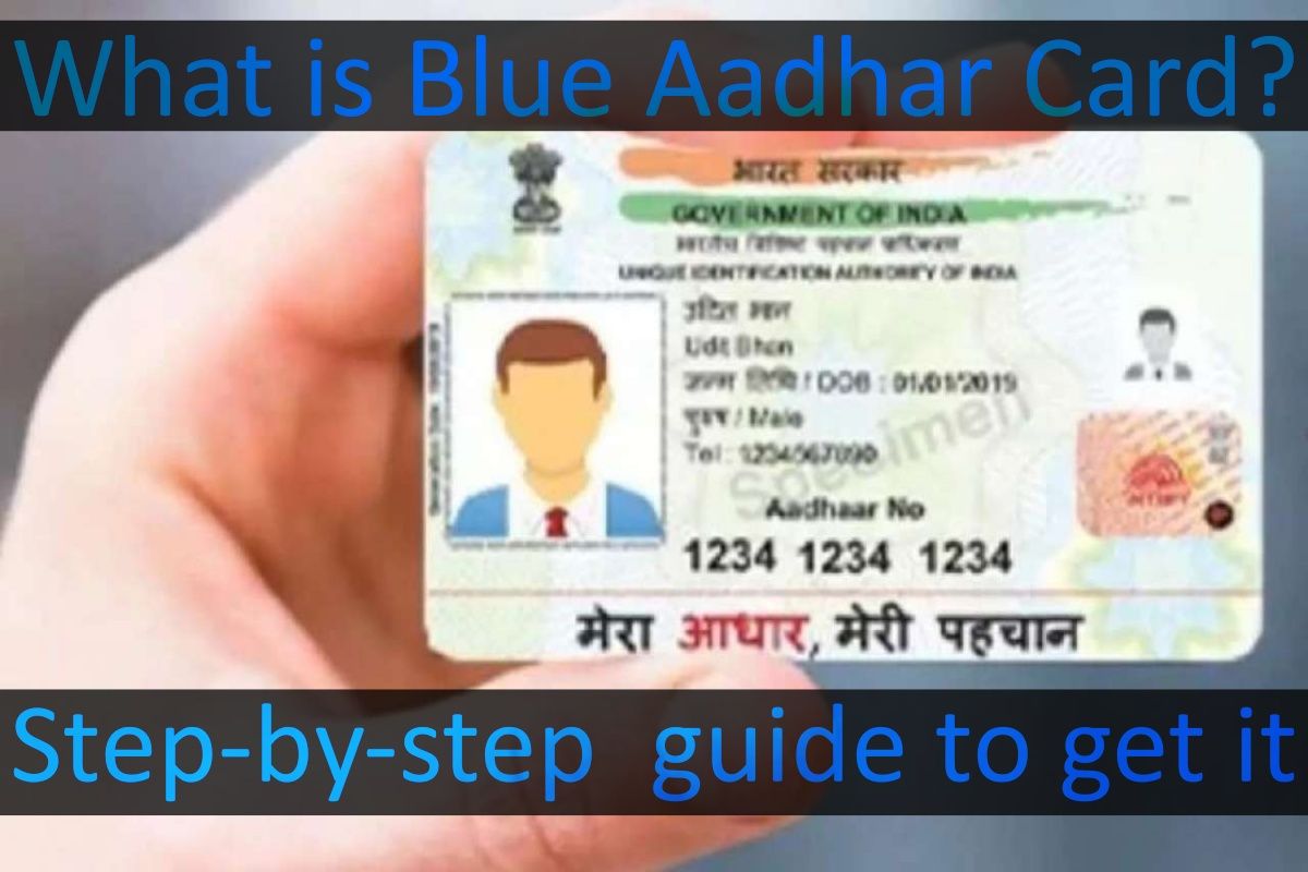 dhar Card Update What Is Blue dhar Card Know How To Get It Here