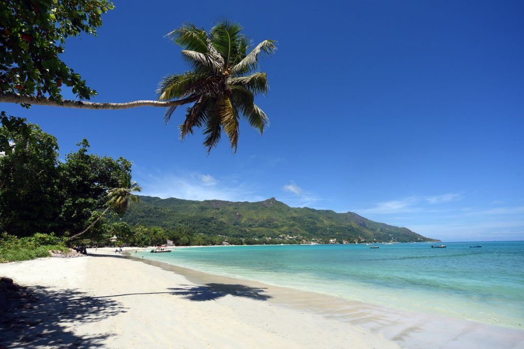 Beach Therapy: Top 7 Beaches to Explore in Seychelles