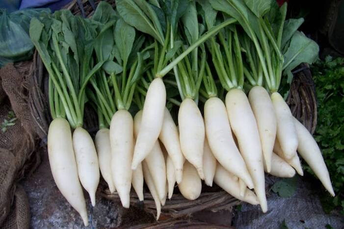 Benefits Of Radish Eat