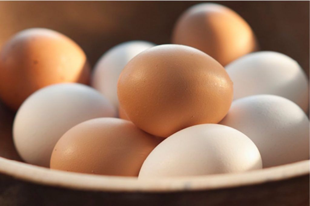 Recovering From Monkeypox? 5 Foods You Must Add to Your Diet For Quick Recovery