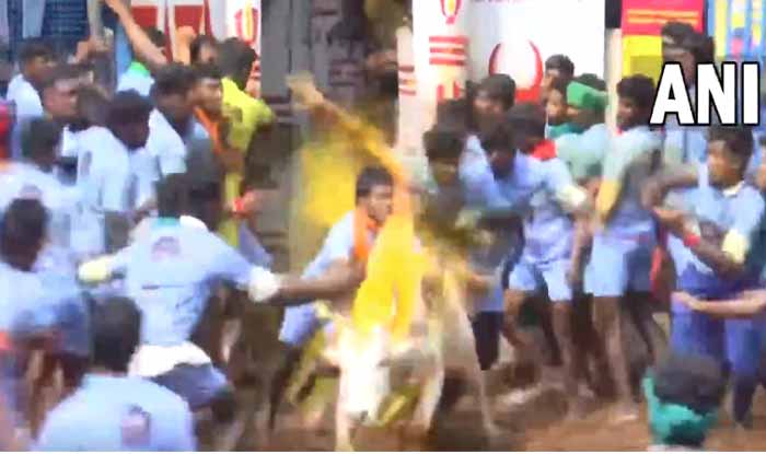 Madurai, Tamil Nadu, Jallikattu,