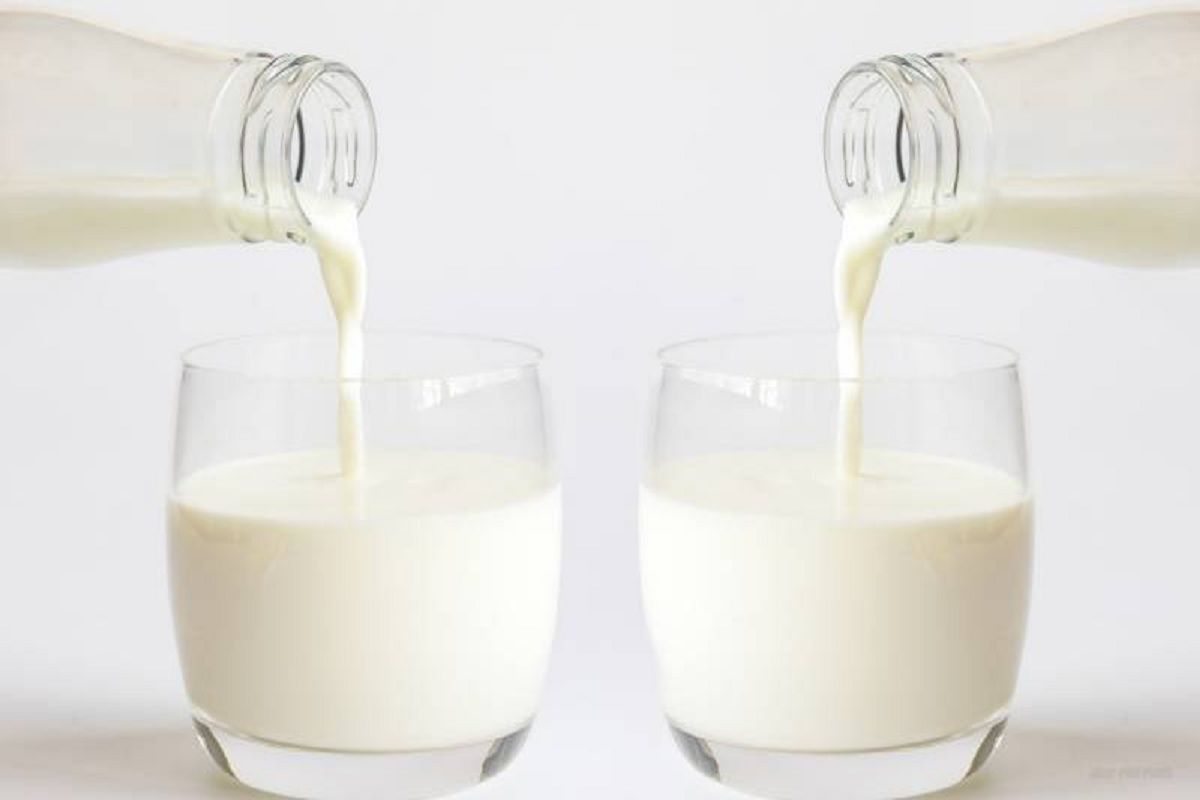 World Milk Day: इन 5 चीजों को खाने के बाद कभी ना पिएं दूध, सेहत हो सकती है खराब