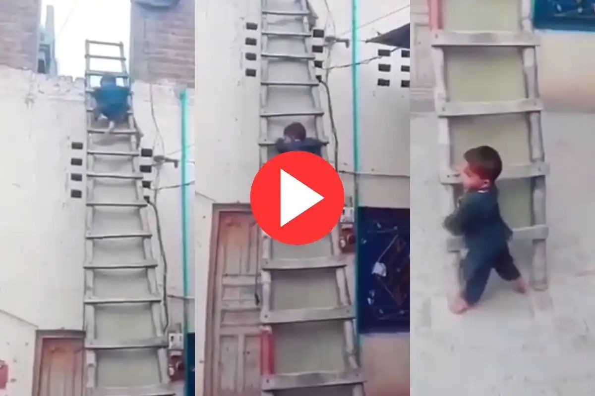 Viral Video: सिडीवरून एवढ्या वेगाने उतरला हा चिमुकला, व्हिडिओ पाहून बसणार नाही विश्वास