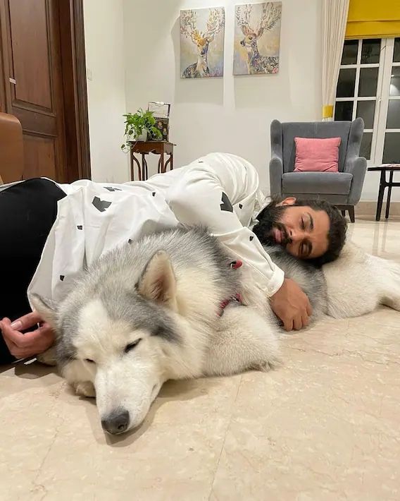 Vijay Deverakonda photos viral house