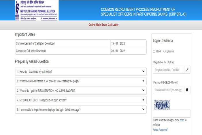 IBPS SO Mains Admit Card 2022 Out on ibps.in